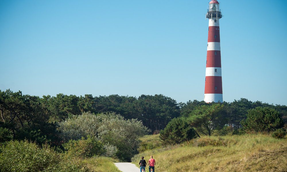 Vuurtoren van Ameland steekt uit boven het bos en de duinen. Twee fietsers fietsen over een fietspad